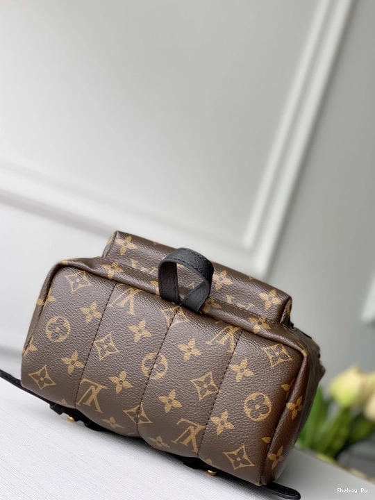 SPRINGS EDITION PM LOUIS VUITTON NEW PALM 0825